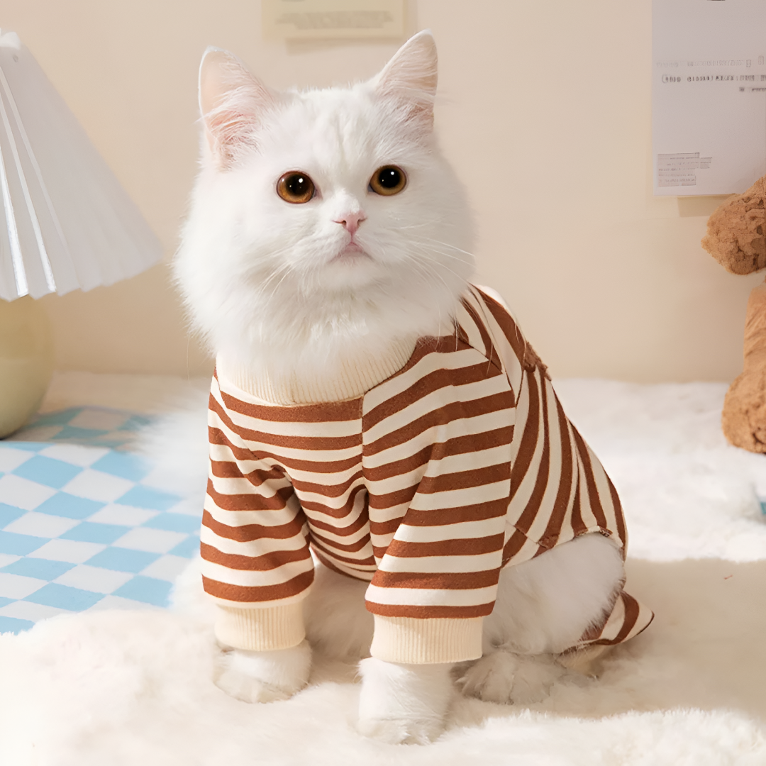 Stylish Pet Clothing For Every Season Looks